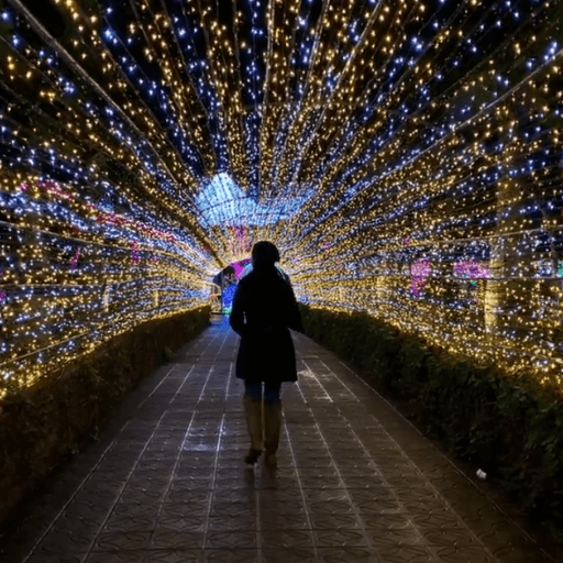 Outdoor Illumination Solutions