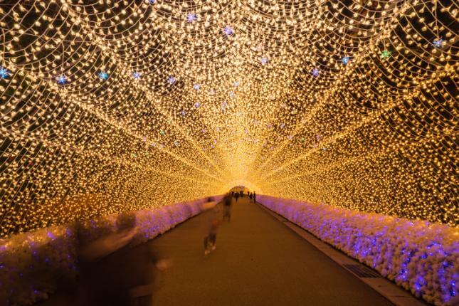 winter-illuminations-rental Norwich NR2 1